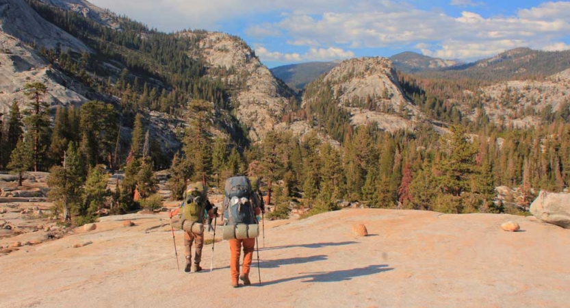 Two people wearing backpacks hike away from the camera toward trees and mountains. 